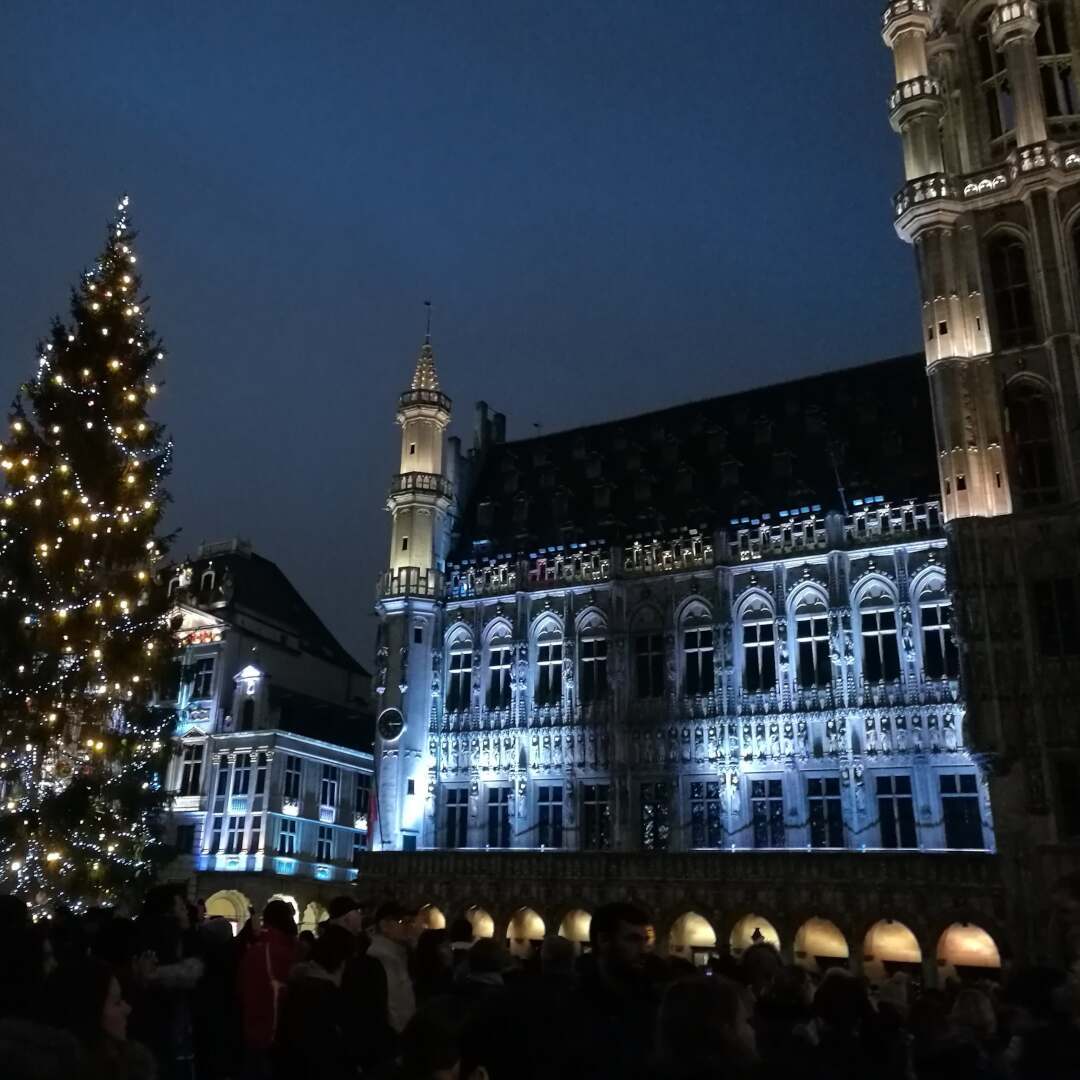 Grand Place - Grote Markt